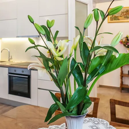 Center Secession Charm Near National Theatre Апартаменти Спліт